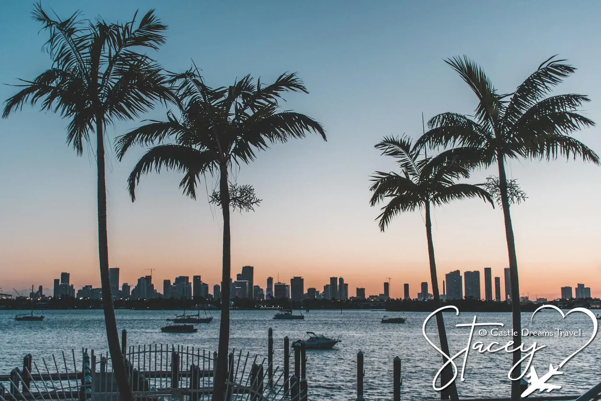 Palm trees framing the Miami skyline across the water at sunset
