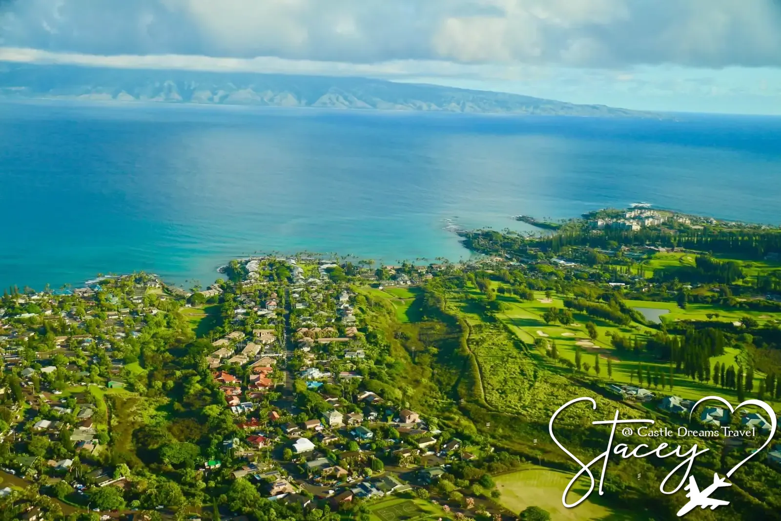 Golden sands and palm trees on a Maui beach