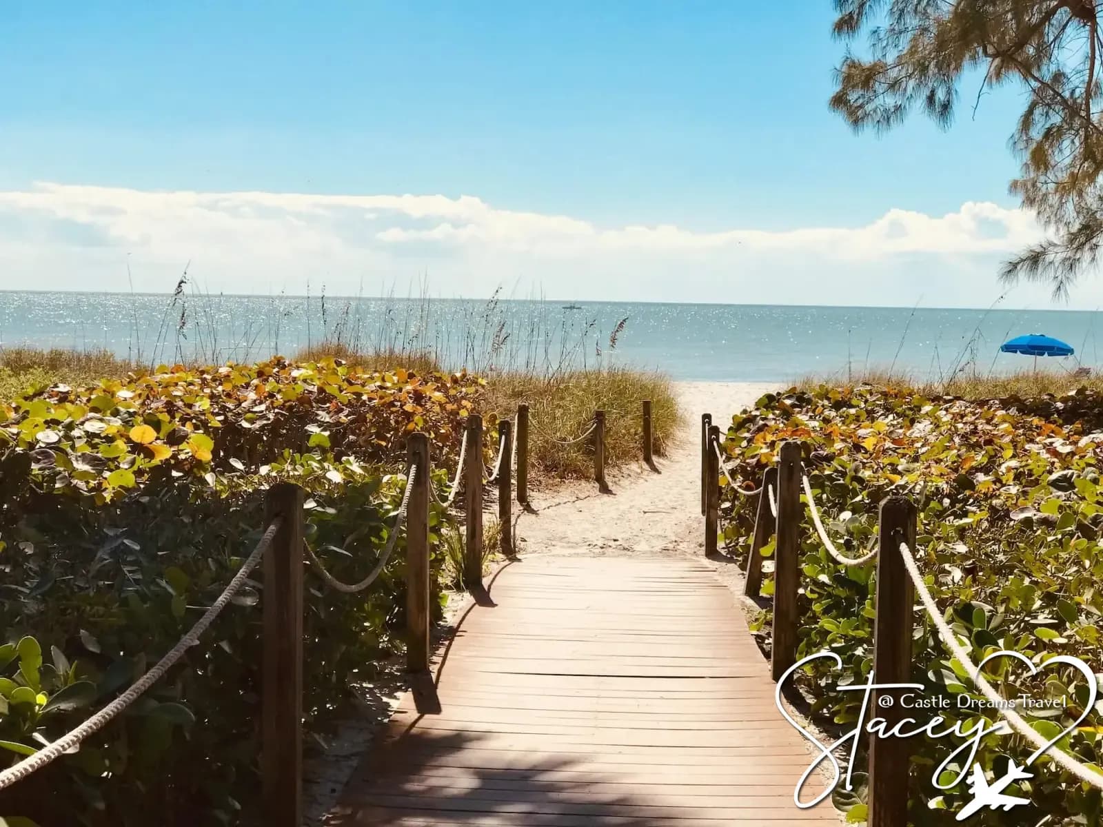 Boardwalk path through sea grapes leading to the beach on Sanibel Island