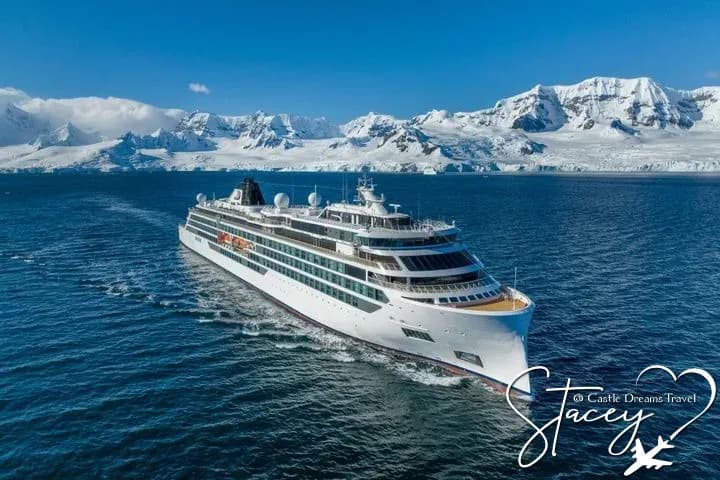 Viking expedition ship