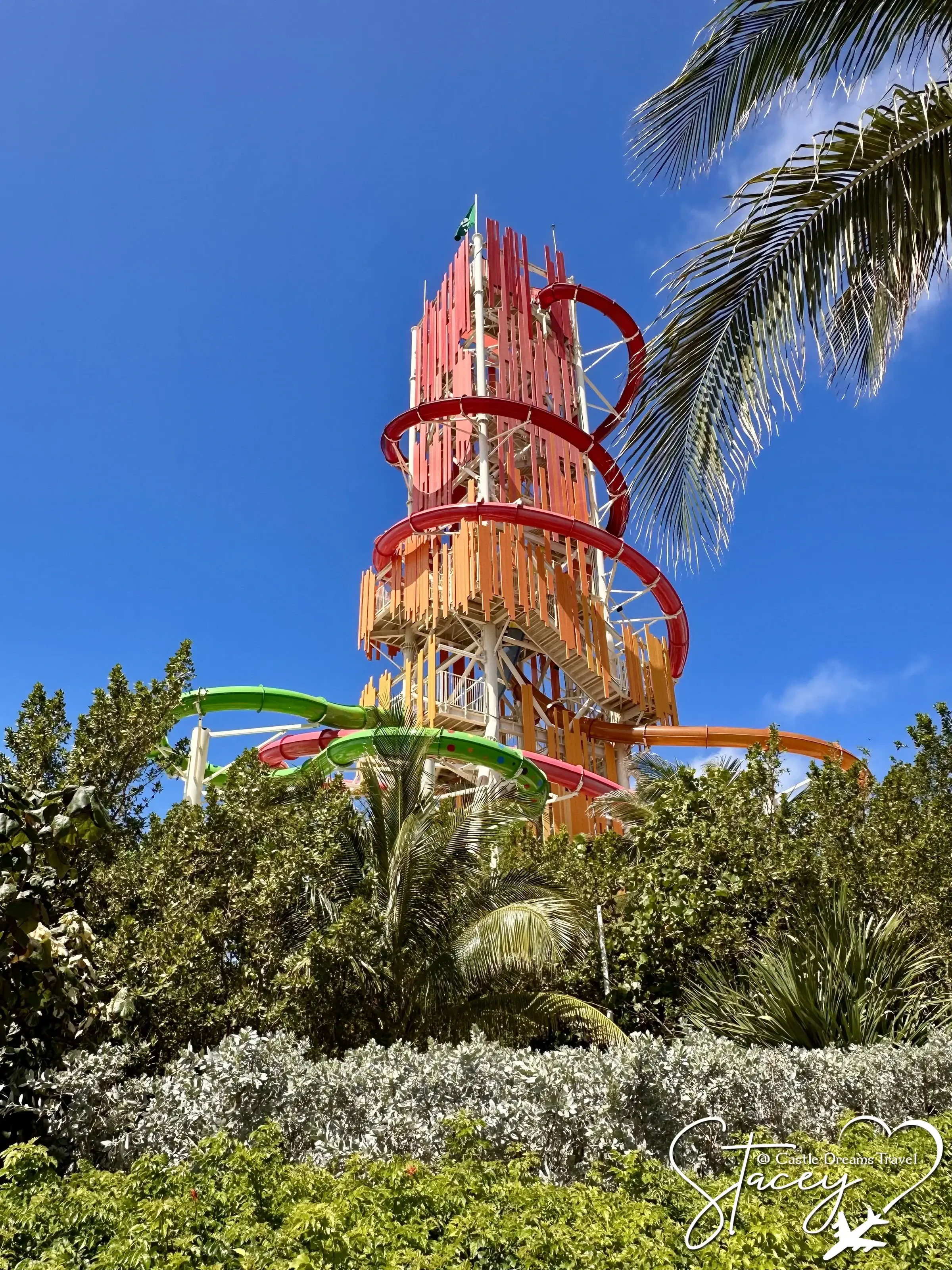 Daredevil's Peak and the Thrill Waterpark slides rising above the palms at CoCoCay